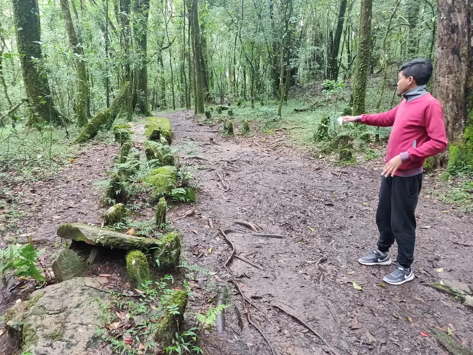 Mawphlang-Shillong Meghalaya Undiscovered Mountains- UM-